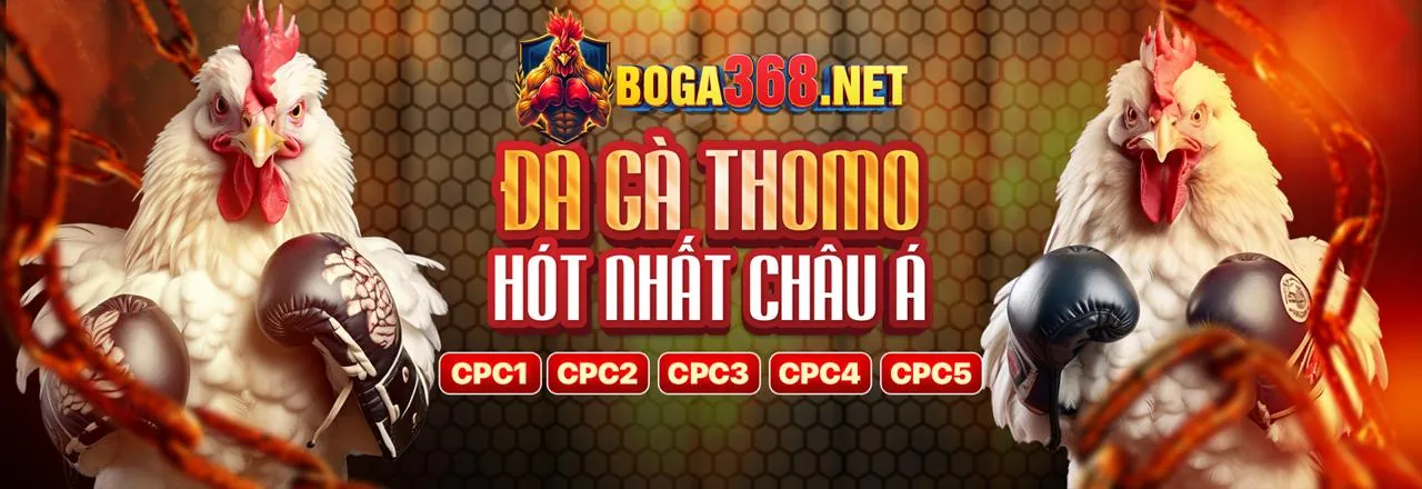 Tổng quan về mục tin tức 12betwin
